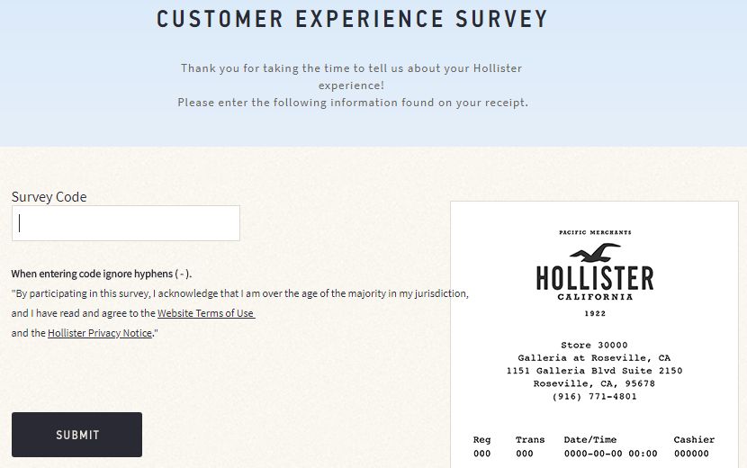 Hollister Survey in English
