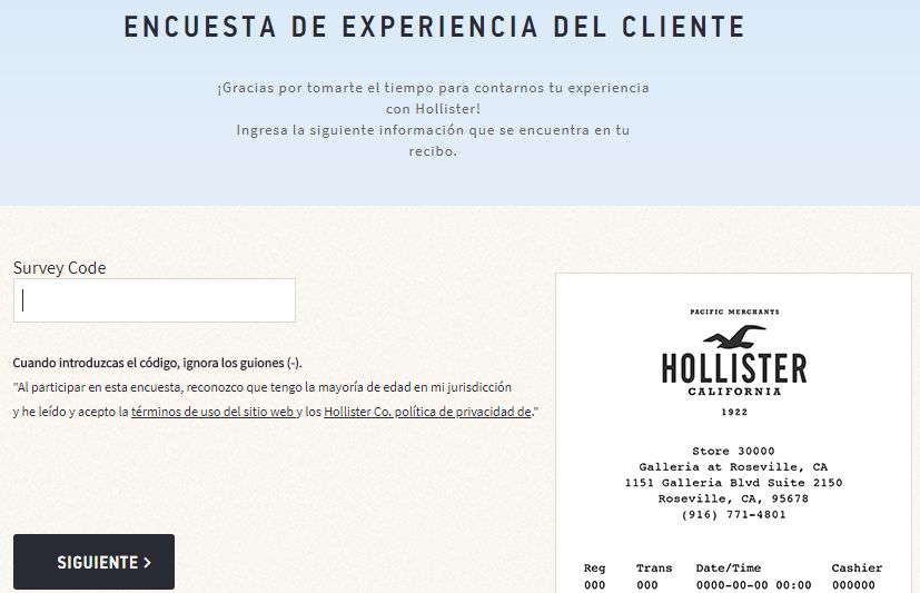 Hollister Survey in Spanish